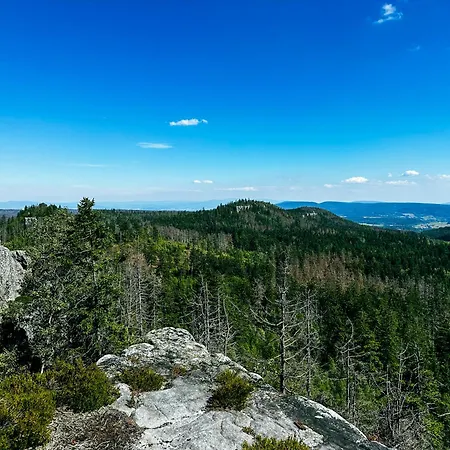 Calma Kameralne 아파트 Lewin Klodzki